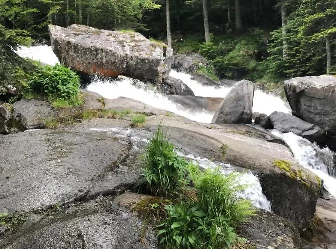 アパート Lumineux Hypercentre コテレ